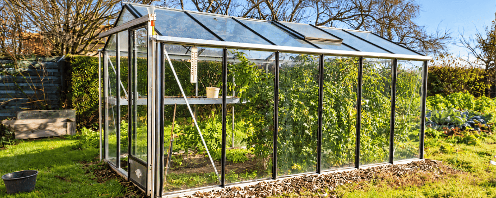 Serre Essentia LAMS en aluminium naturel avec des cultures à l’intérieur, dans un jardin aux arbres dénudés.